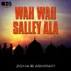 Zohaib Ashrafi - Wah Wah Salley Ala - Single